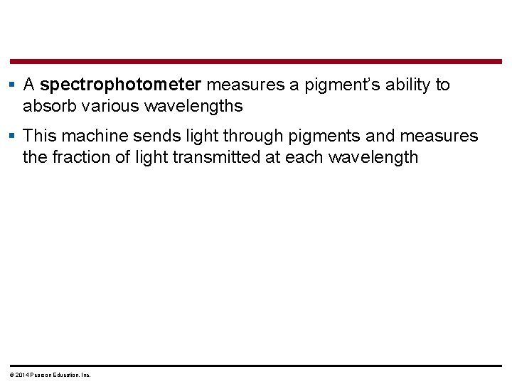 § A spectrophotometer measures a pigment’s ability to absorb various wavelengths § This machine