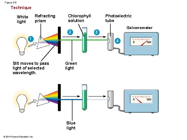 Figure 8. 8 Technique Refracting prism White light Chlorophyll solution 2 1 Slit moves