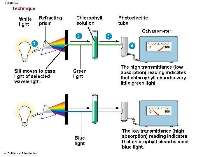 Figure 8. 8 Technique Refracting prism White light Chlorophyll solution 2 1 Slit moves