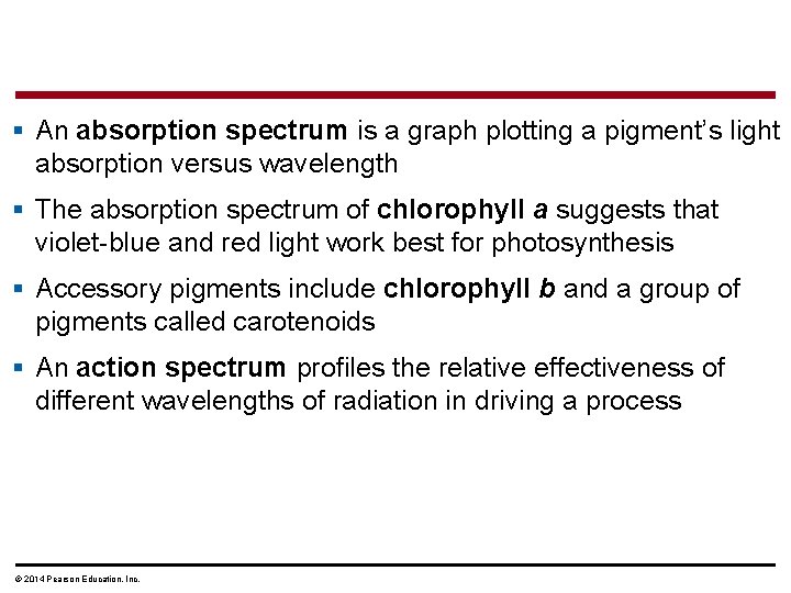 § An absorption spectrum is a graph plotting a pigment’s light absorption versus wavelength
