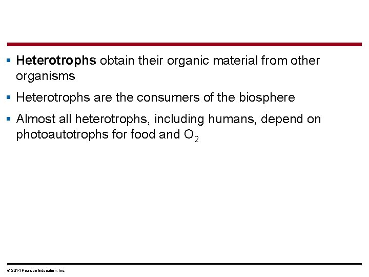 § Heterotrophs obtain their organic material from other organisms § Heterotrophs are the consumers