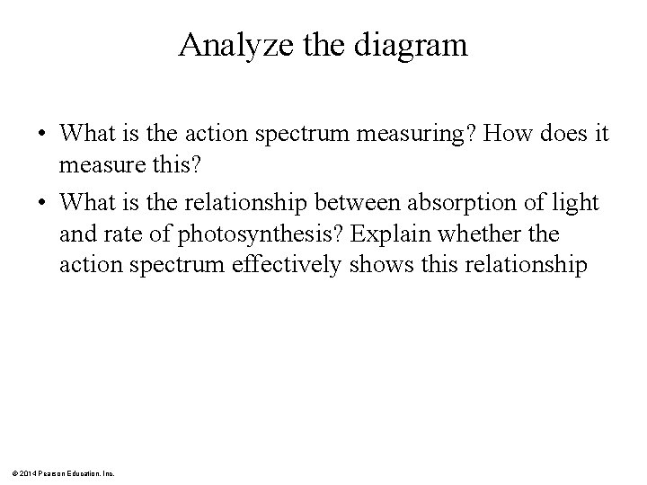 Analyze the diagram • What is the action spectrum measuring? How does it measure