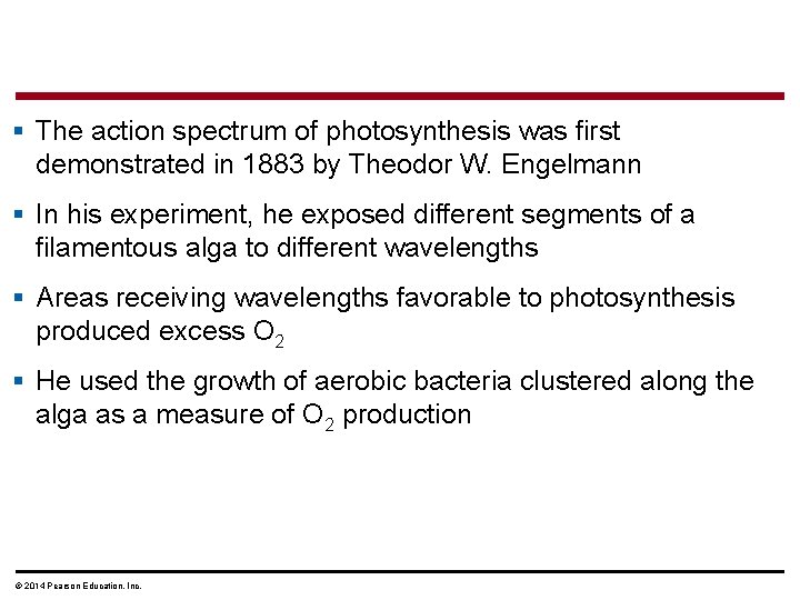 § The action spectrum of photosynthesis was first demonstrated in 1883 by Theodor W.