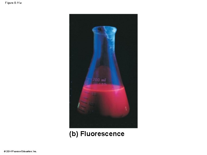 Figure 8. 11 a (b) Fluorescence © 2014 Pearson Education, Inc. 