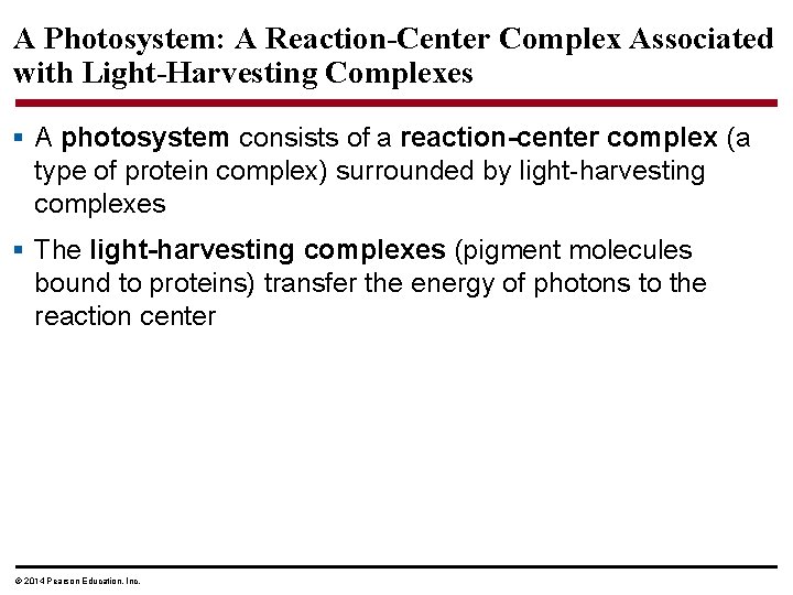 A Photosystem: A Reaction-Center Complex Associated with Light-Harvesting Complexes § A photosystem consists of