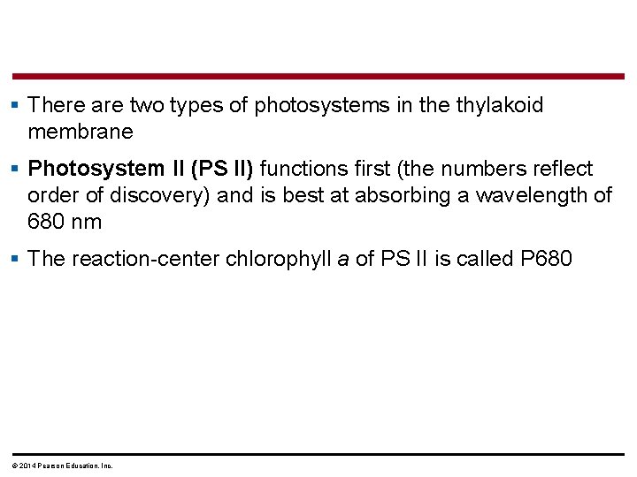 § There are two types of photosystems in the thylakoid membrane § Photosystem II