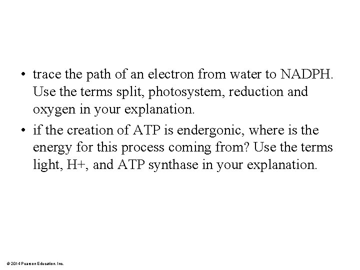  • trace the path of an electron from water to NADPH. Use the