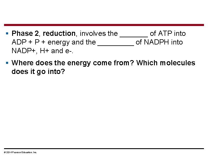 § Phase 2, reduction, involves the _______ of ATP into ADP + energy and