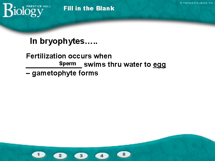 Fill in the Blank In bryophytes…. . Fertilization occurs when Sperm _______ swims thru