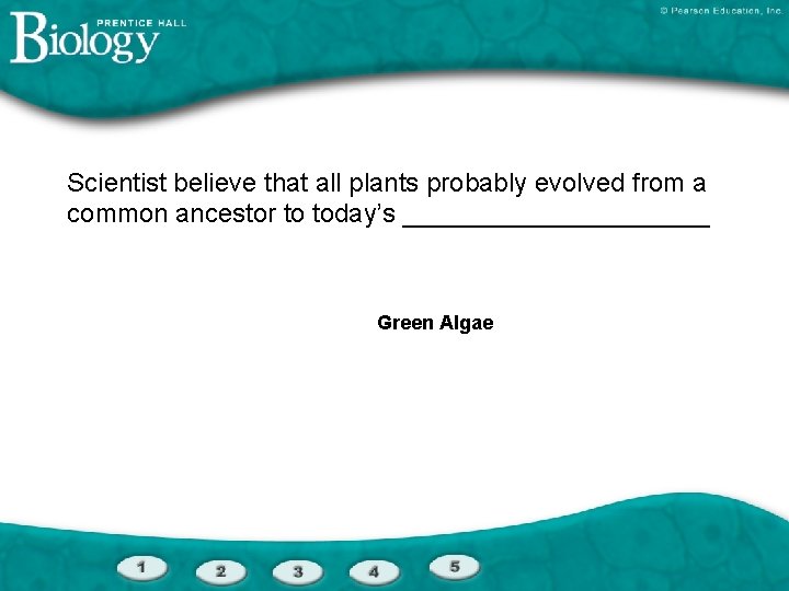 Scientist believe that all plants probably evolved from a common ancestor to today’s ___________