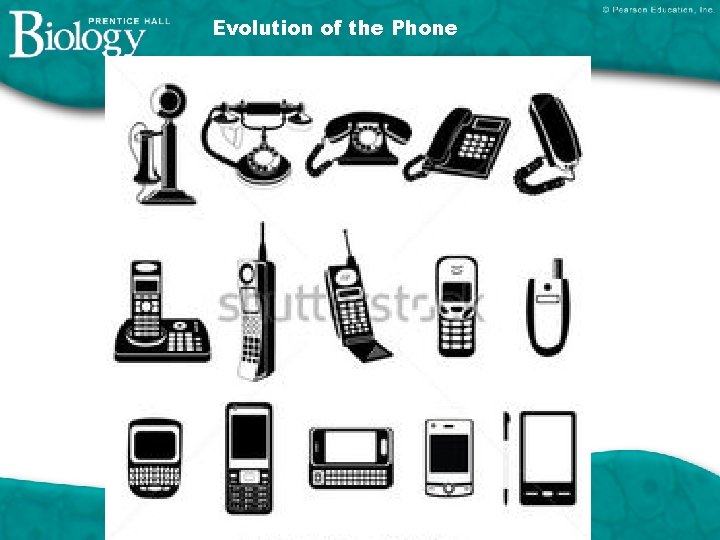 Evolution of the Phone 