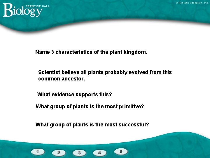 Name 3 characteristics of the plant kingdom. Scientist believe all plants probably evolved from