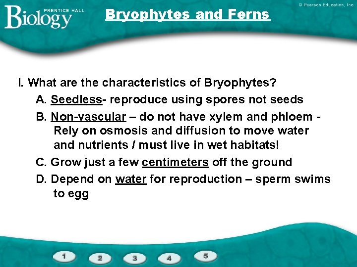 Bryophytes and Ferns I. What are the characteristics of Bryophytes? A. Seedless- reproduce using