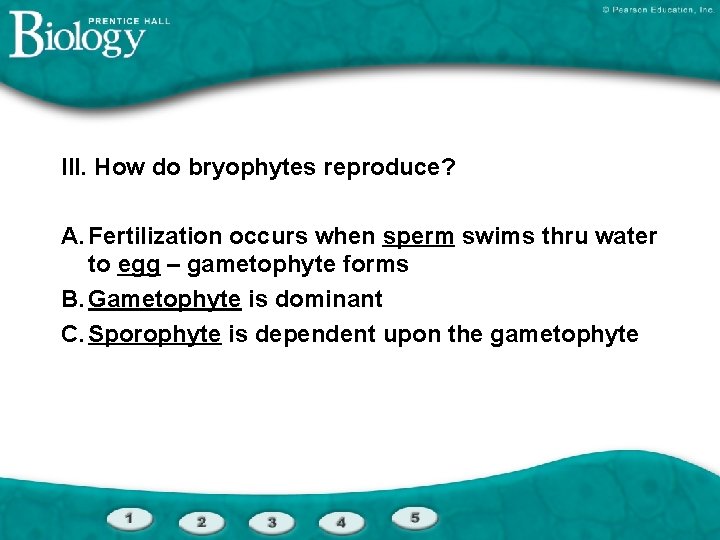 III. How do bryophytes reproduce? A. Fertilization occurs when sperm swims thru water to