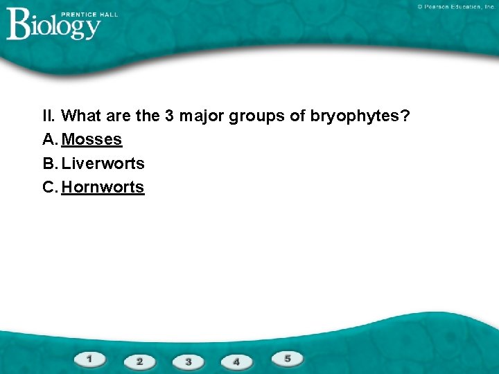 II. What are the 3 major groups of bryophytes? A. Mosses B. Liverworts C.