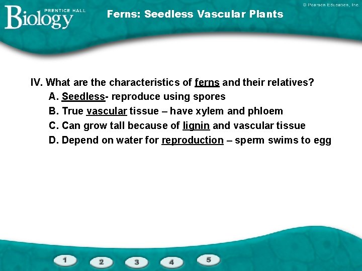 Ferns: Seedless Vascular Plants IV. What are the characteristics of ferns and their relatives?