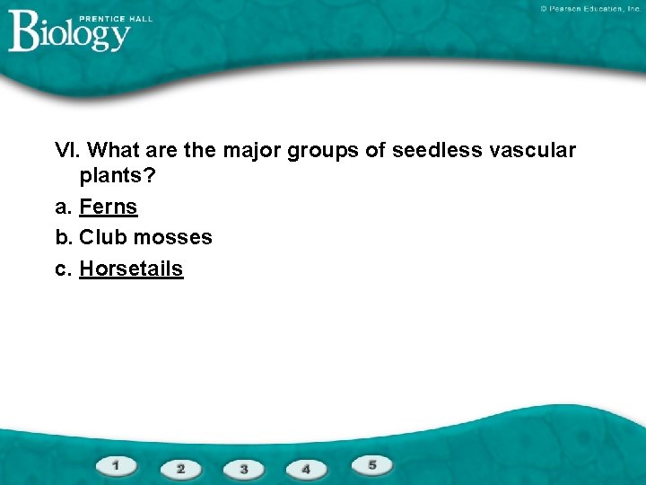 VI. What are the major groups of seedless vascular plants? a. Ferns b. Club