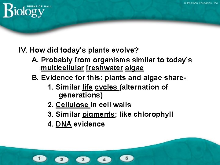 IV. How did today’s plants evolve? A. Probably from organisms similar to today’s multicellular