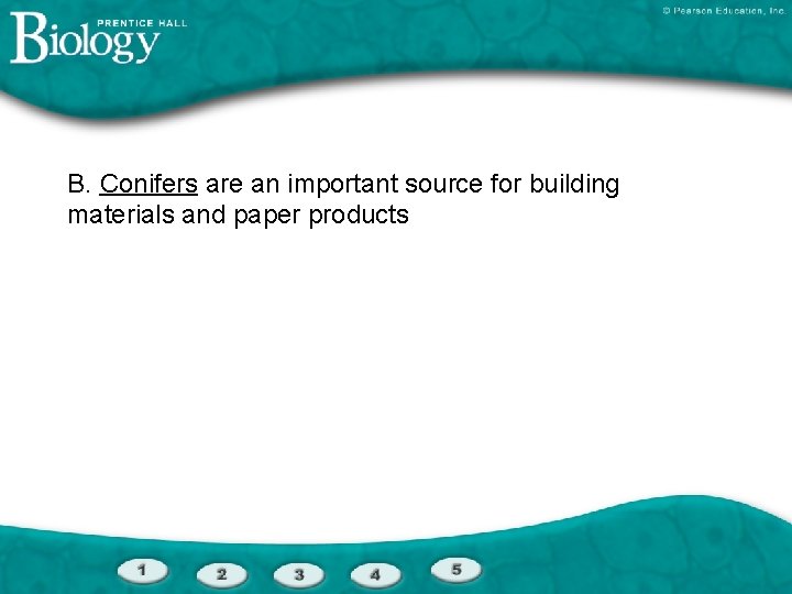 B. Conifers are an important source for building materials and paper products 