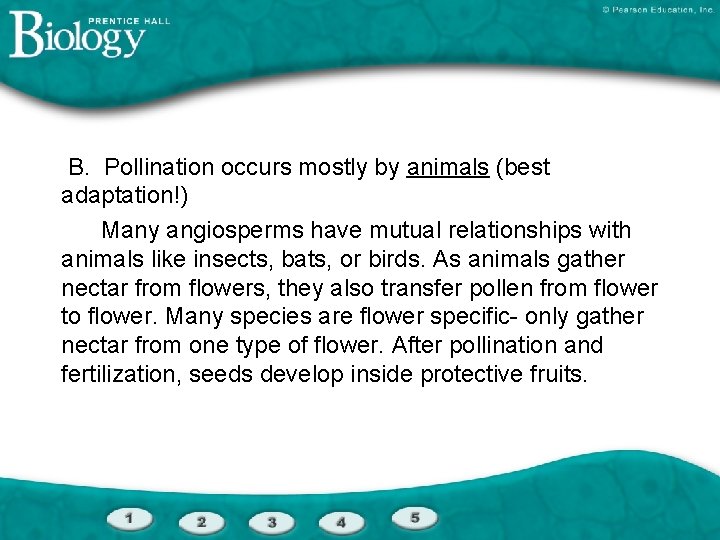  B. Pollination occurs mostly by animals (best adaptation!) Many angiosperms have mutual relationships