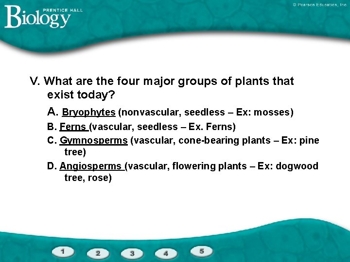 V. What are the four major groups of plants that exist today? A. Bryophytes