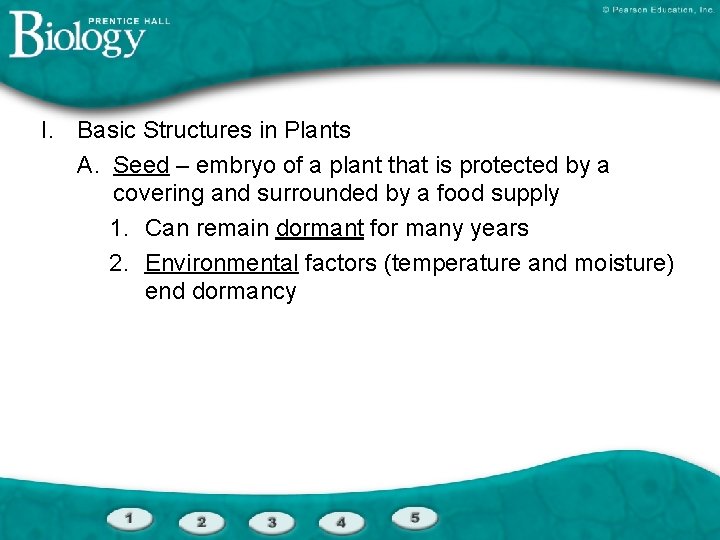 I. Basic Structures in Plants A. Seed – embryo of a plant that is