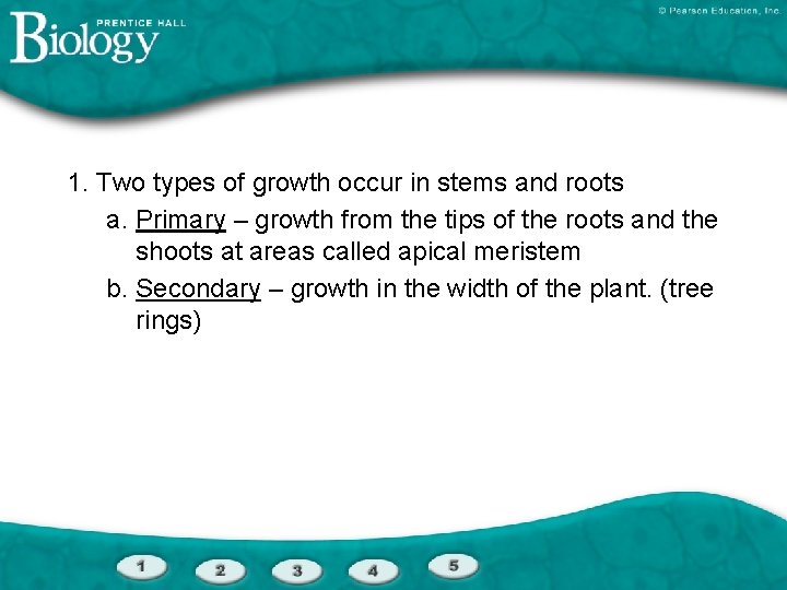 1. Two types of growth occur in stems and roots a. Primary – growth