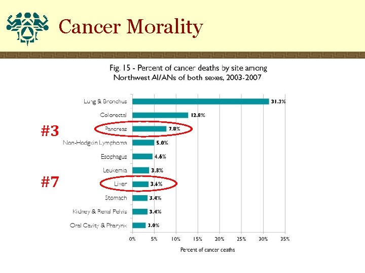 Cancer Morality #3 #7 