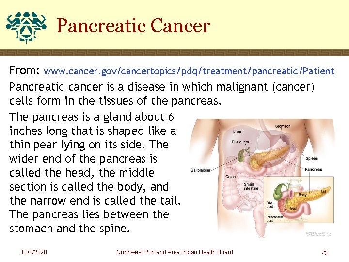 Pancreatic Cancer From: www. cancer. gov/cancertopics/pdq/treatment/pancreatic/Patient Pancreatic cancer is a disease in which malignant