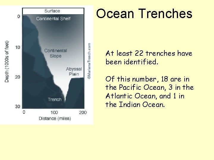 Ocean Trenches At least 22 trenches have been identified. Of this number, 18 are