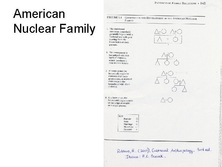 American Nuclear Family 