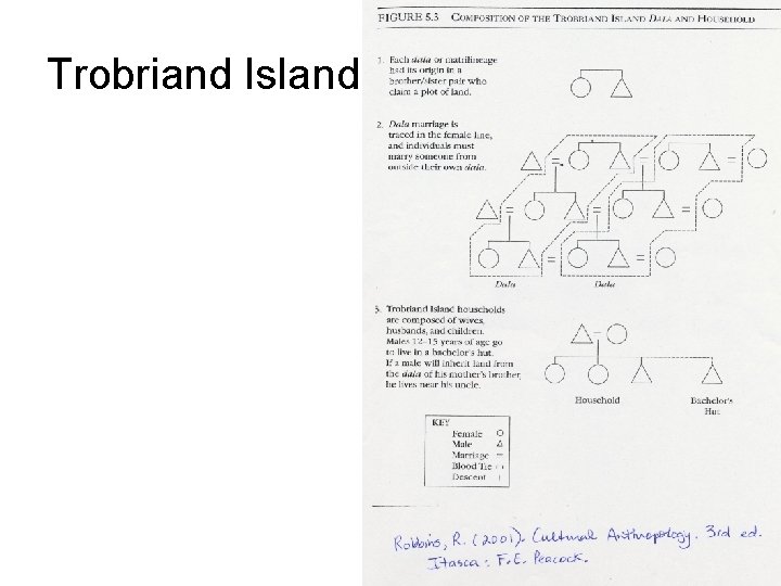 Trobriand Island 