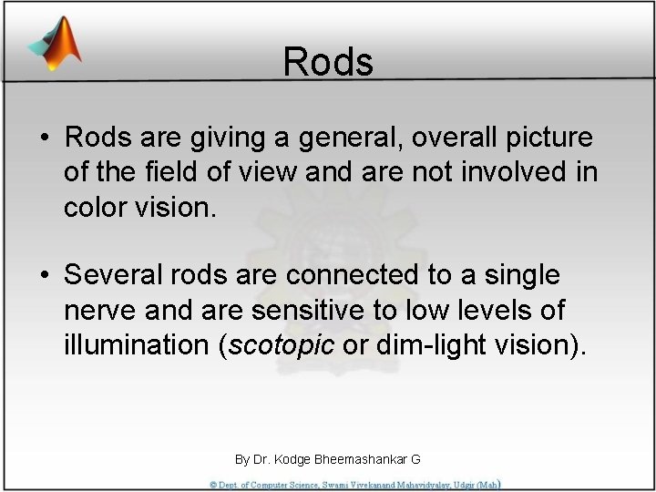 Rods • Rods are giving a general, overall picture of the field of view