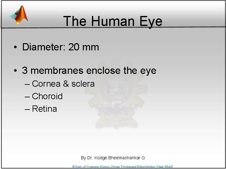 The Human Eye • Diameter: 20 mm • 3 membranes enclose the eye –