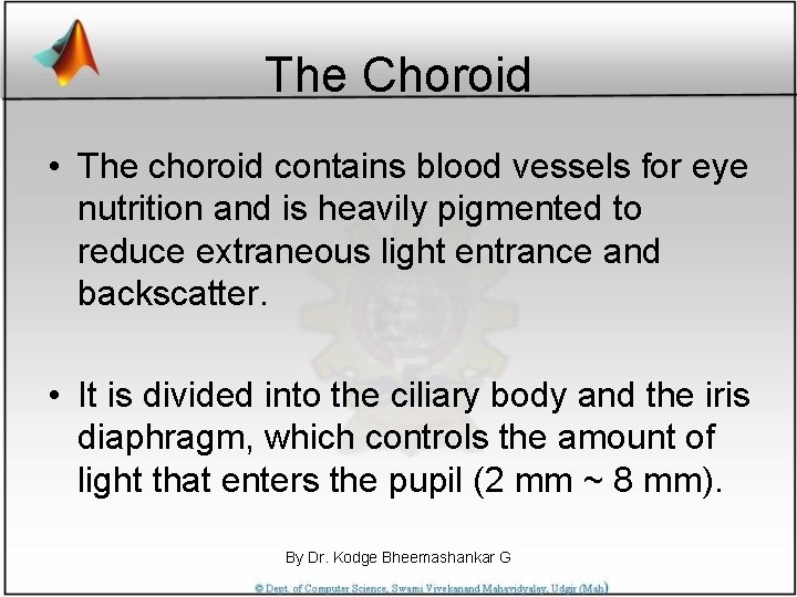 The Choroid • The choroid contains blood vessels for eye nutrition and is heavily
