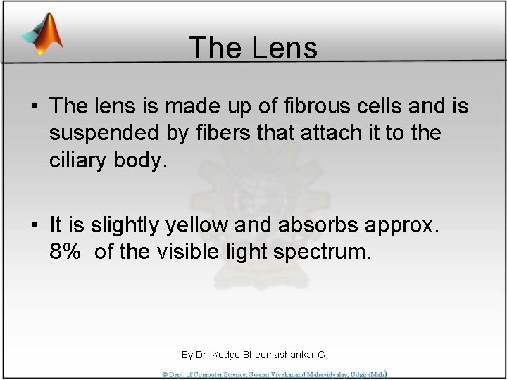 The Lens • The lens is made up of fibrous cells and is suspended