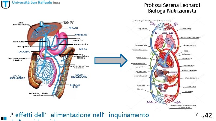 Prof. ssa Serena Leonardi Biologa Nutrizionista # effetti dell’alimentazione nell’inquinamento 4 di 42 