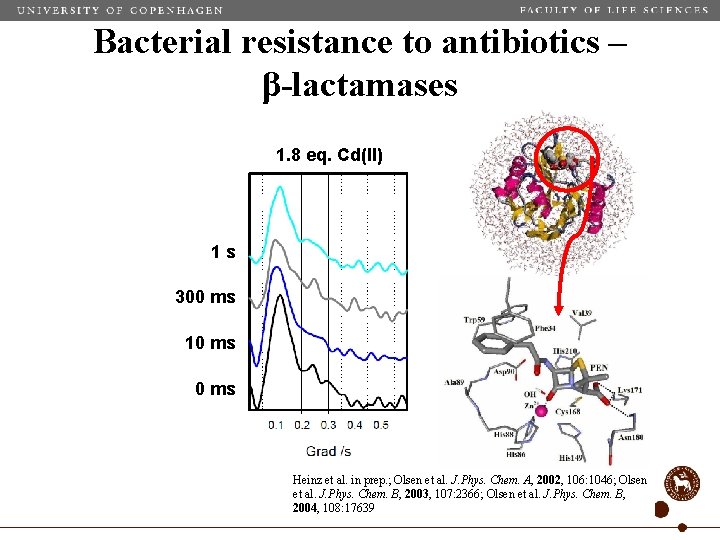 Bacterial resistance to antibiotics – β-lactamases 1. 8 eq. Cd(II) 1 s 300 ms