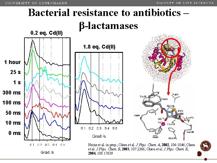 Bacterial resistance to antibiotics – β-lactamases 0. 2 eq. Cd(II) 1. 8 eq. Cd(II)