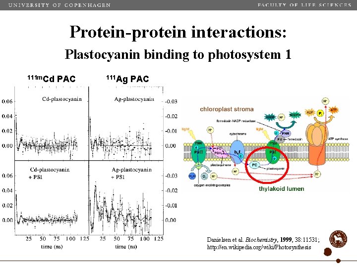 Protein-protein interactions: Plastocyanin binding to photosystem 1 111 m. Cd PAC 111 Ag PAC