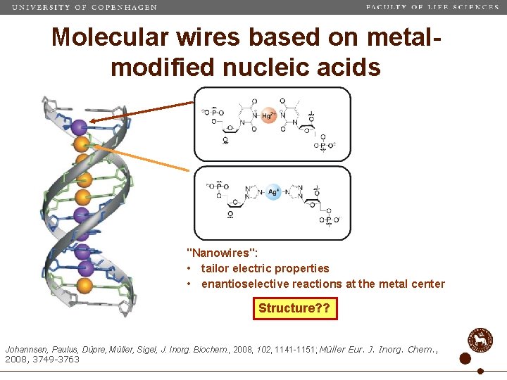 Molecular wires based on metalmodified nucleic acids "Nanowires": • tailor electric properties • enantioselective