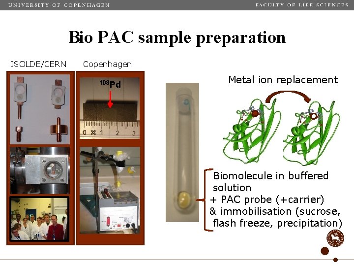 Bio PAC sample preparation ISOLDE/CERN Copenhagen 108 Pd Metal ion replacement Biomolecule in buffered