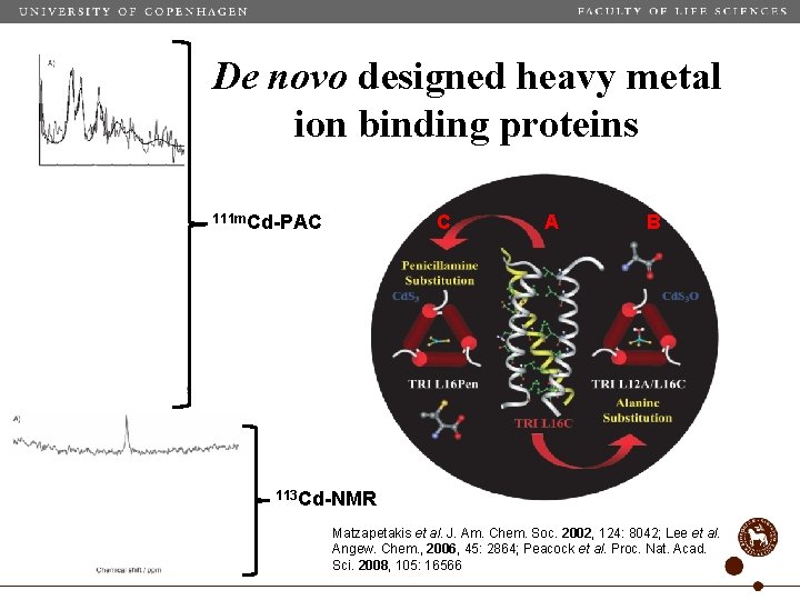 De novo designed heavy metal ion binding proteins 111 m. Cd-PAC C A B