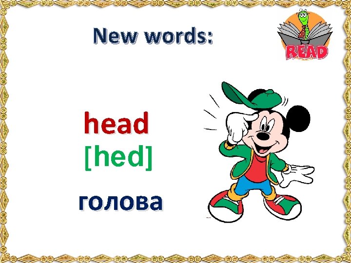 New words: head [hed] голова 