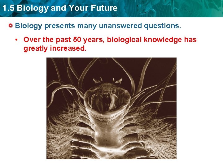 1. 5 Biology and Your Future Biology presents many unanswered questions. • Over the