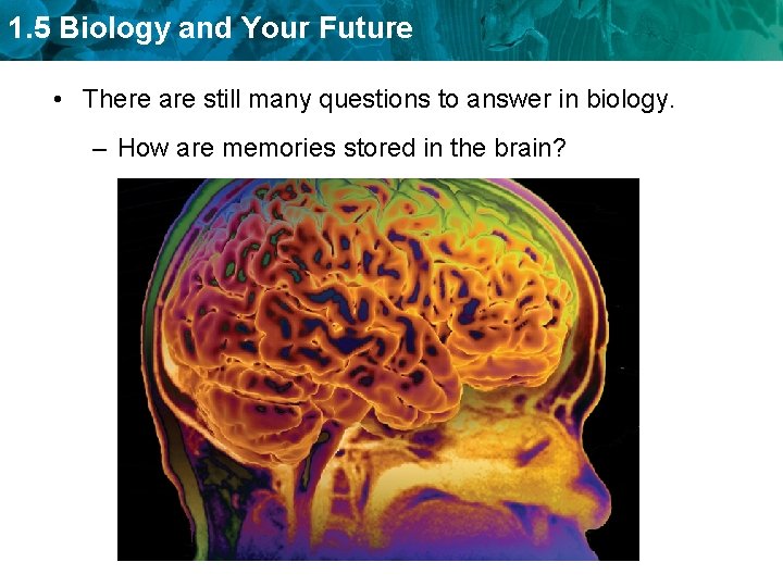 1. 5 Biology and Your Future • There are still many questions to answer