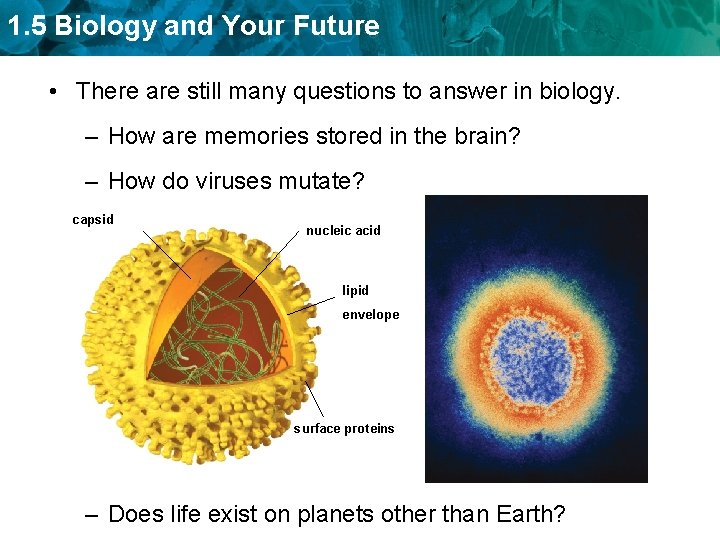 1. 5 Biology and Your Future • There are still many questions to answer