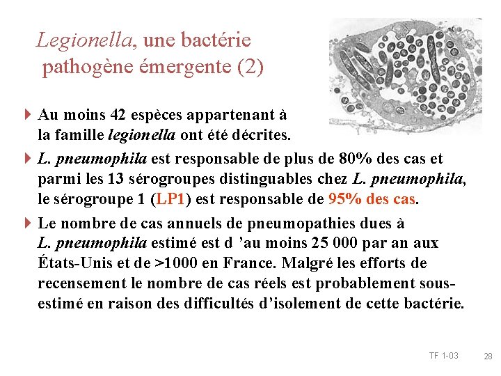 Legionella, une bactérie pathogène émergente (2) 4 Au moins 42 espèces appartenant à la