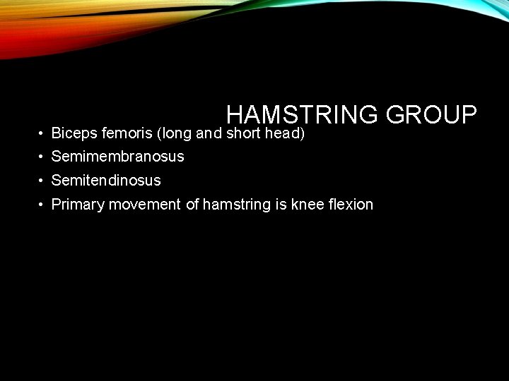 HAMSTRING GROUP • Biceps femoris (long and short head) • Semimembranosus • Semitendinosus •