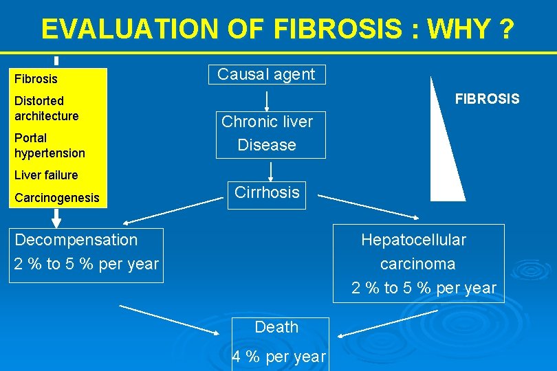 EVALUATION OF FIBROSIS : WHY ? Fibrosis Distorted architecture Portal hypertension Causal agent FIBROSIS
